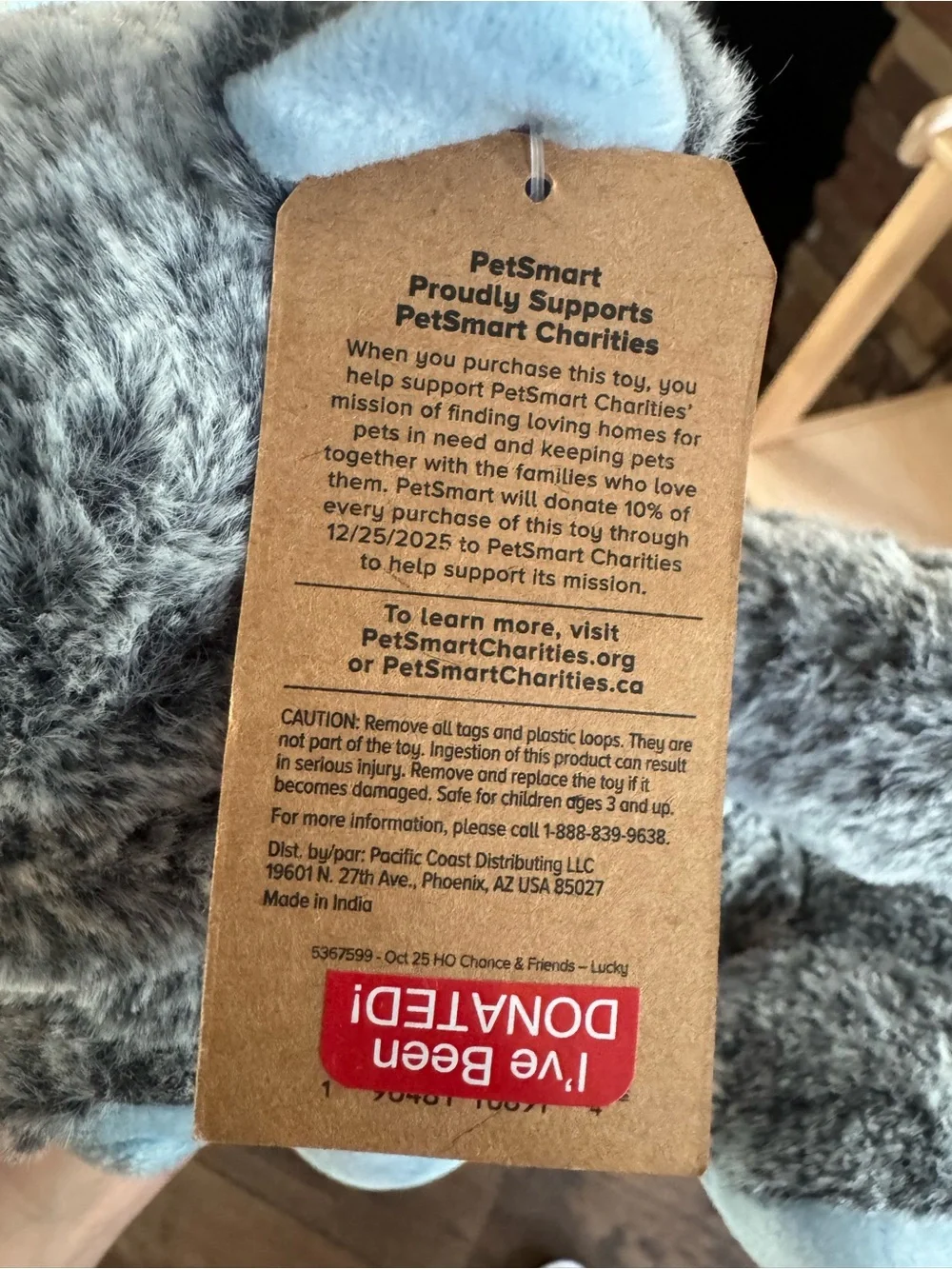 Petsmart soft gray
